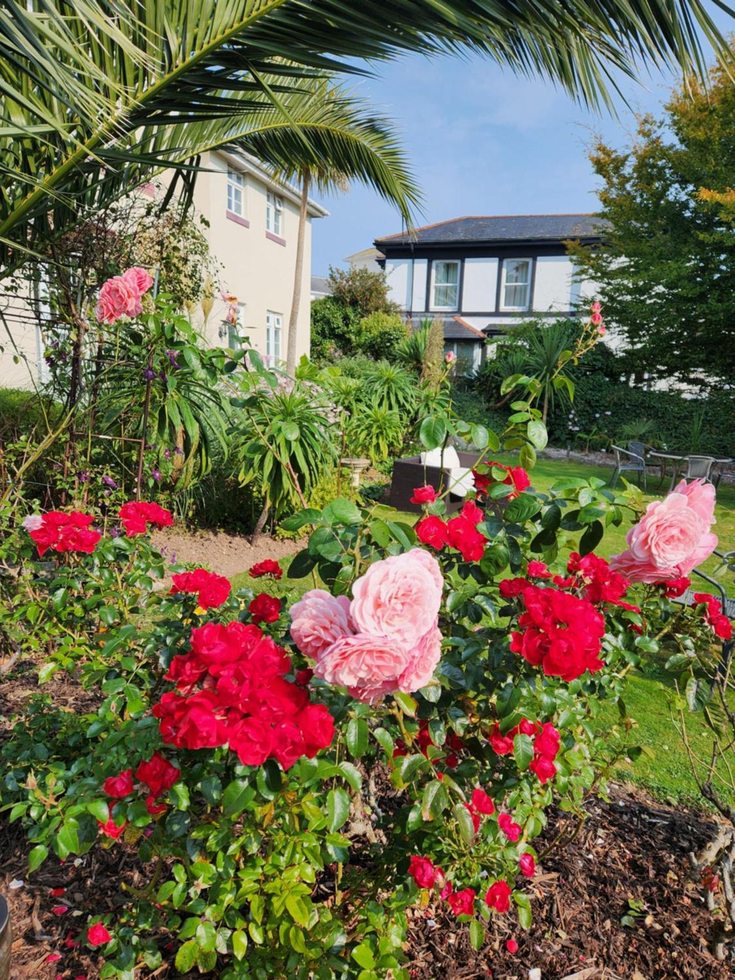 Rose Court Holiday Apartments Torquay Exterior photo